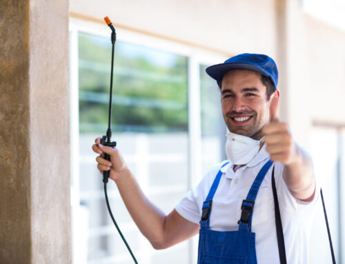 How to Choose the Best Pest Control Company